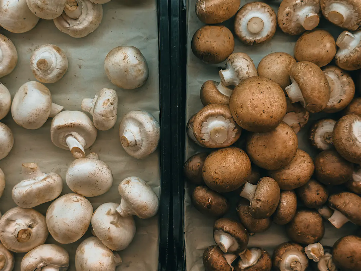 Witte en kastanjechampignons in bakken