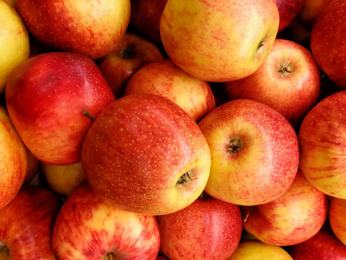 Close-up van verse, knapperige rood-gele appels